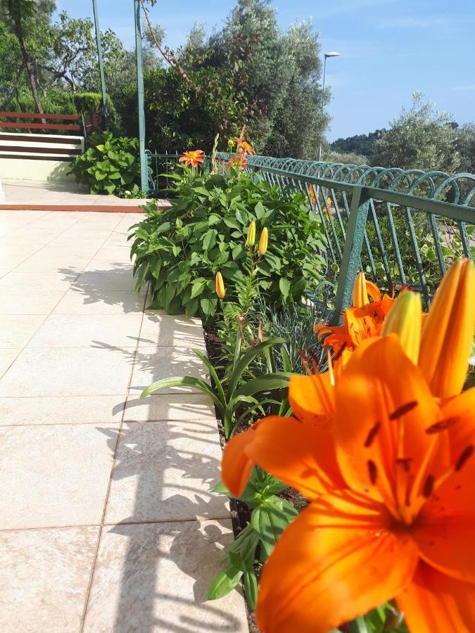 Apartments Simo Petrovac Exterior foto