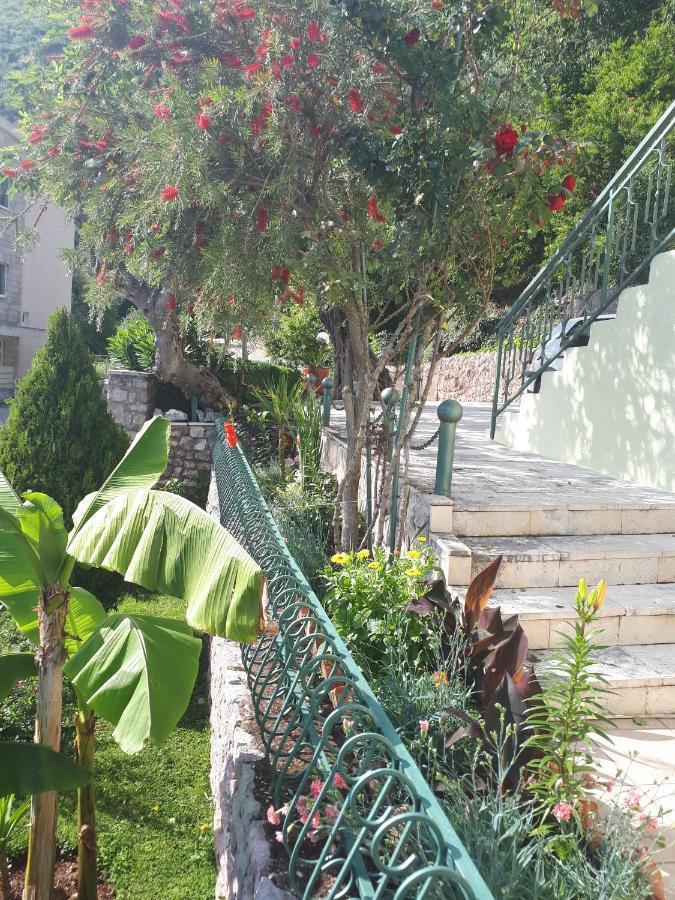 Apartments Simo Petrovac Exterior foto
