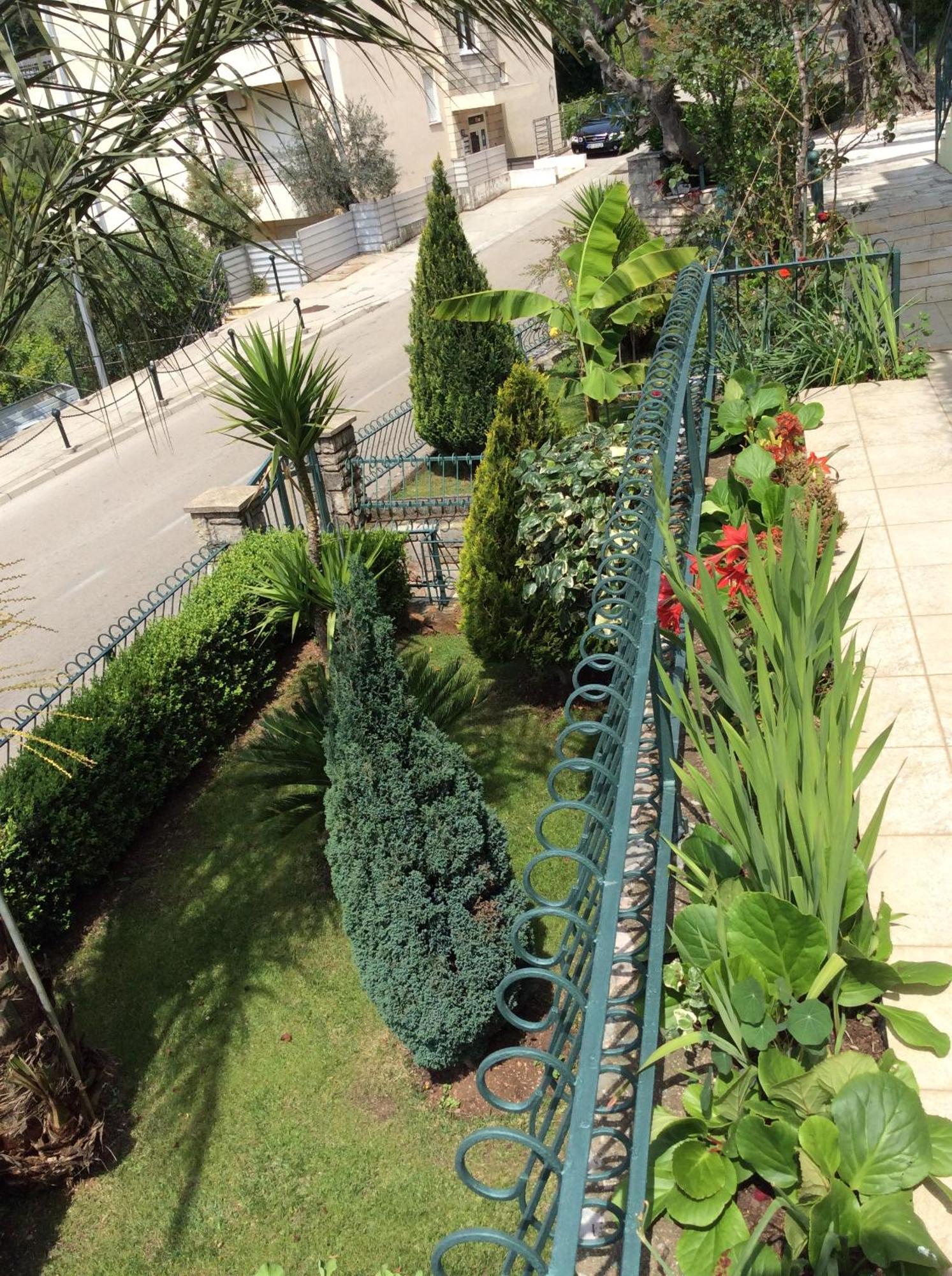 Apartments Simo Petrovac Exterior foto