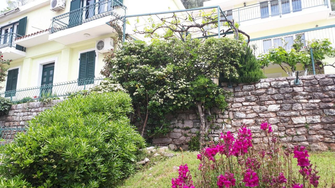 Apartments Simo Petrovac Exterior foto
