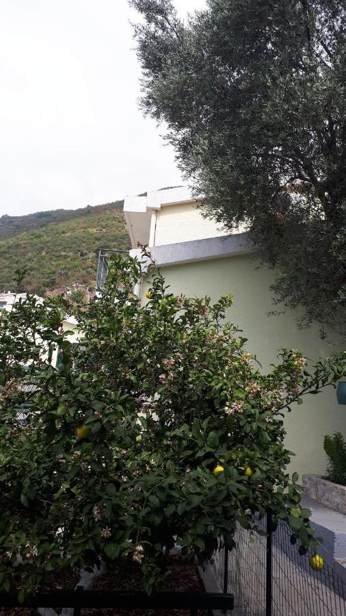 Apartments Simo Petrovac Exterior foto